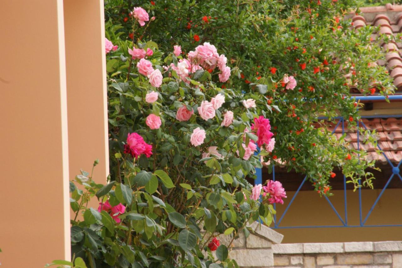 Barbati View Luxury Apartments Kültér fotó